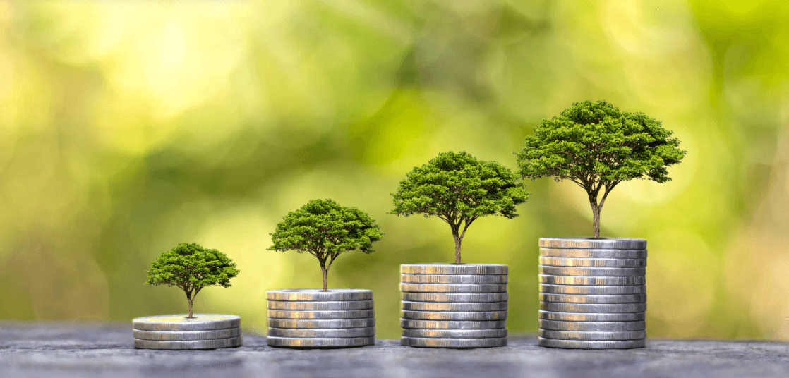 Property Investment